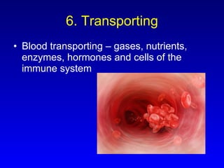 6. Transporting Blood transporting – gases, nutrients, enzymes, hormones and cells of the immune system 