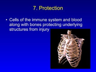 7. Protection Cells of the immune system and blood along with bones protecting underlying structures from injury 