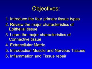 Objectives: 1. Introduce the four primary tissue types 2. Review the major characteristics of Epithelial tissue 3. Learn the major characteristics of Connective tissue 4. Extracellular Matrix 5. Introduction Muscle and Nervous Tissues 6. Inflammation and Tissue repair 