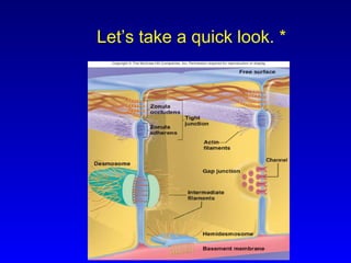 Let’s take a quick look. * 