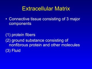 Extracellular Matrix Connective tissue consisting of 3 major components (1) protein fibers (2) ground substance consisting of nonfibrous protein and other molecules (3) Fluid 