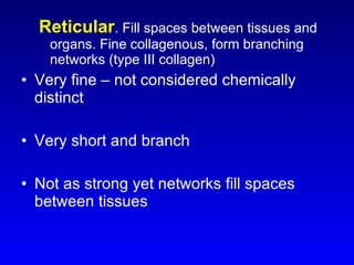 Reticular . Fill spaces between tissues and organs. Fine collagenous, form branching networks (type III collagen) Very fine – not considered chemically distinct Very short and branch Not as strong yet networks fill spaces between tissues 