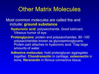 Other Matrix Molecules Most common molecules are called the and include:  ground substance   Hyaluronic acid :  polysaccharide. Good lubricant. Vitreous humor of eye. Proteoglycans : protein and polysaccharides. 80 -100 polysaccharides known as glycosaminoglycans.  Protein part attaches to hyaluronic acid. Trap large amounts of water. Adhesive molecules : hold proteoglycan aggregates together.  Chondronectin  in cartilage,  osteonectin  in bone,  fibronectin  in fibrous connective tissue. 