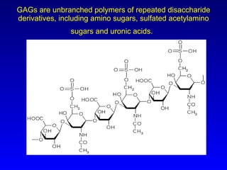 GAGs are unbranched polymers of repeated disaccharide derivatives, including amino sugars, sulfated acetylamino sugars and uronic acids.   