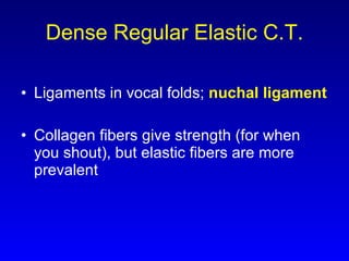 Dense Regular Elastic C.T. Ligaments in vocal folds;  nuchal ligament Collagen fibers give strength (for when you shout), but elastic fibers are more prevalent 