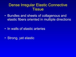 Dense Irregular Elastic Connective Tissue Bundles and sheets of collagenous and elastic fibers oriented in multiple directions In walls of elastic arteries Strong, yet elastic 