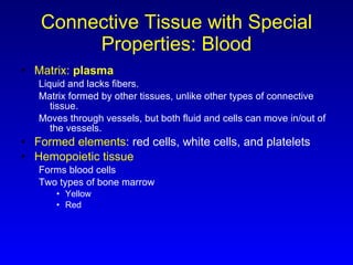 Connective Tissue with Special Properties: Blood Matrix:  plasma Liquid and lacks fibers. Matrix formed by other tissues, unlike other types of connective tissue. Moves through vessels, but both fluid and cells can move in/out of the vessels. Formed elements : red cells, white cells, and platelets Hemopoietic tissue Forms blood cells Two types of bone marrow Yellow Red 
