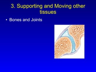 3. Supporting and Moving other tissues Bones and Joints 