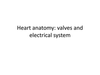 Heart anatomy: valves and electrical system 