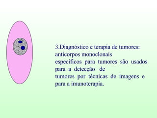 3.Diagnóstico e terapia de tumores: anticorpos monoclonais específicos  para  tumores  são  usados  para  a  detecção  de  tumores  por  técnicas  de  imagens  e  para a imunoterapia. 