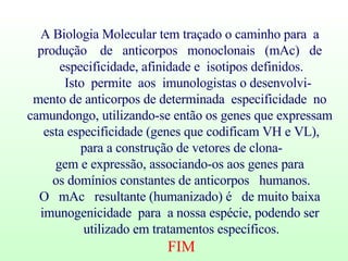 A Biologia Molecular tem traçado o caminho para  a  produção  de  anticorpos  monoclonais  (mAc)  de  especificidade, afinidade e  isotipos definidos. Isto  permite  aos  imunologistas o desenvolvi-  mento de anticorpos de determinada  especificidade  no  camundongo, utilizando-se então os genes que expressam  esta especificidade (genes que codificam VH e VL), para a construção de vetores de clona- gem e expressão, associando-os aos genes para  os domínios constantes de anticorpos  humanos. O  mAc  resultante (humanizado) é  de muito baixa  imunogenicidade  para  a nossa espécie, podendo ser  utilizado em tratamentos específicos. FIM 