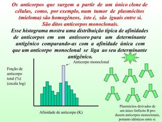Os  anticorpos  que  surgem  a  partir  de  um  único clone de  células,  como,  por exemplo, num  tumor  de  plasmócitos  (mieloma) são homogêneos,  isto é,  são  iguais entre si. São ditos anticorpos monoclonais. Esse histograma mostra uma distribuição típica de afinidades  de  anticorpos  em  um  antissoro para  um  determinante  antigênico  comparando-as  com  a  afinidade  única  com que um anticorpo  monoclonal  se  liga  ao seu determinante  antigênico. Anticorpo monoclonal Plasmócitos derivados de um único linfócito B pro- duzem anticorpos monoclonais, portanto idênticos entre si.  Afinidade de anticorpo (K) Fração de anticorpo total (%)  (escala log) 