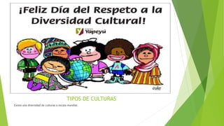 TIPOS DE CULTURAS
Existe una diversidad de culturas a escala mundial.
 
