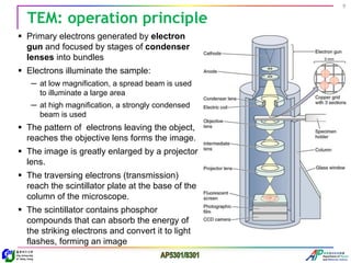 TEM lecture for student, the principle, application | PDF
