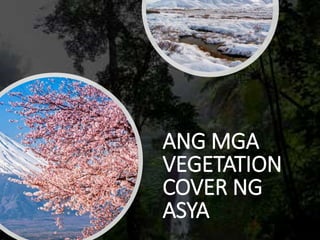 ANG MGA
VEGETATION
COVER NG
ASYA
 