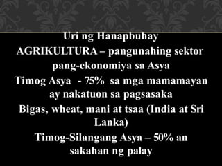Uri ng Hanapbuhay
AGRIKULTURA – pangunahing sektor
pang-ekonomiya sa Asya
Timog Asya - 75% sa mga mamamayan
ay nakatuon sa pagsasaka
Bigas, wheat, mani at tsaa (India at Sri
Lanka)
Timog-Silangang Asya – 50% an
sakahan ng palay
 