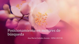Posicionamiento en motores de
búsqueda
Ana María Cubides Acosta - SENA 2019 ®
 