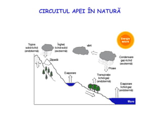 CIRCUITUL APEI ÎN NATURĂ
 