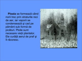 Ploaia se formeazã când
norii trec prin straturile reci
de aer, iar vaporii se
condenseazã şi cad pe
pãmânt sub formă de
picãturi. Ploile sunt
necesare vieţii plantelor.
Ele curãţã aerul de praf şi
îl rãcoresc.
 