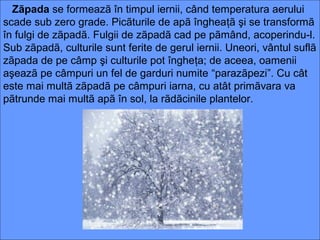 Zãpada se formeazã în timpul iernii, când temperatura aerului
scade sub zero grade. Picãturile de apã îngheaţã şi se transformã
în fulgi de zãpadã. Fulgii de zãpadã cad pe pãmând, acoperindu-l.
Sub zãpadã, culturile sunt ferite de gerul iernii. Uneori, vântul suflã
zãpada de pe câmp şi culturile pot îngheţa; de aceea, oamenii
aşeazã pe câmpuri un fel de garduri numite “parazãpezi”. Cu cât
este mai multã zãpadã pe câmpuri iarna, cu atât primãvara va
pãtrunde mai multã apã în sol, la rãdãcinile plantelor.
 