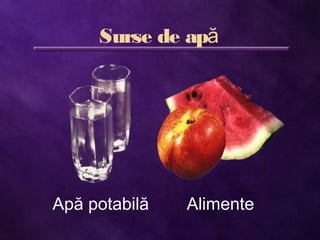 Surse de apă
Apă potabilă Alimente
