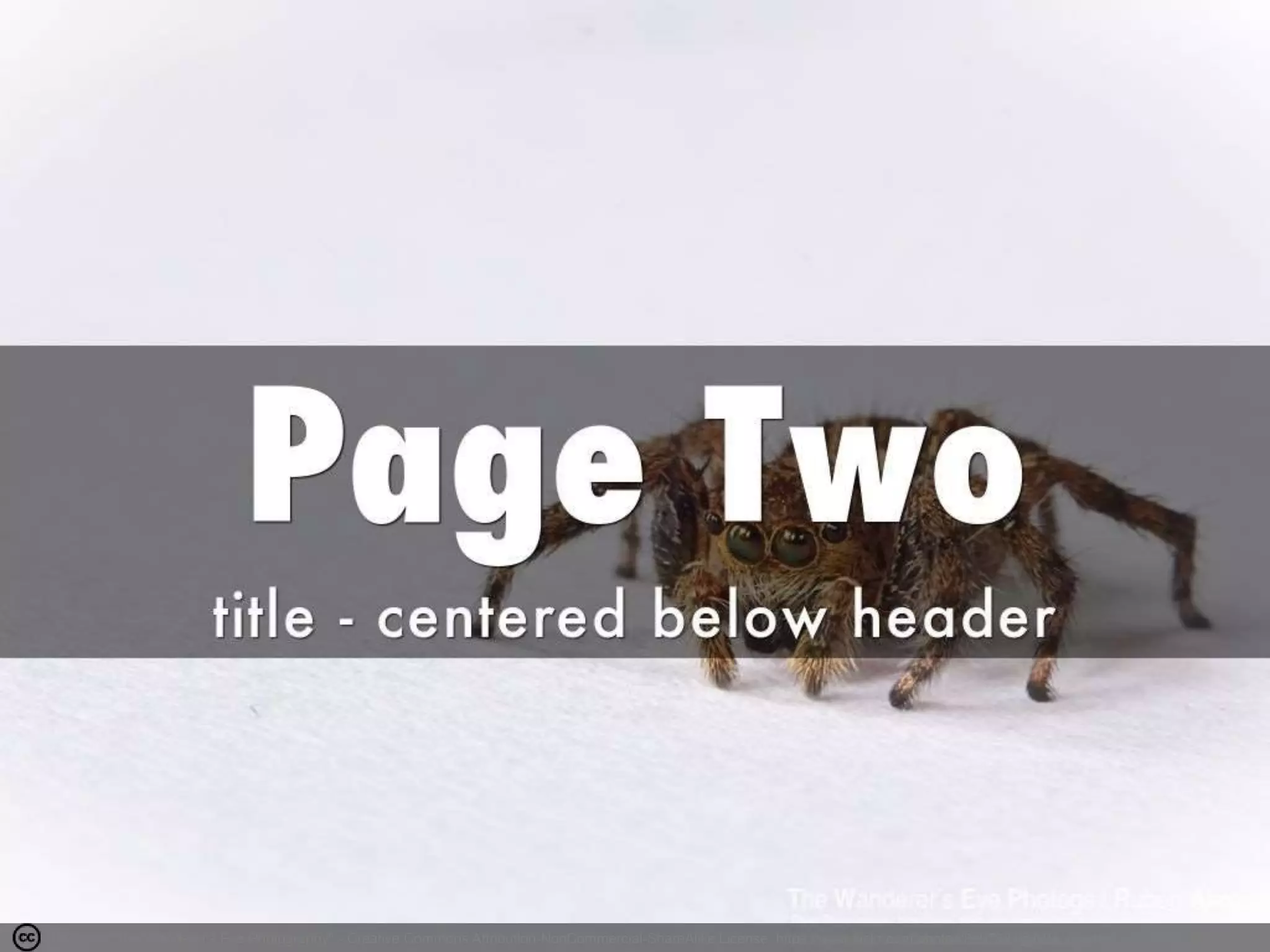 Photo by "The Wanderer's Eye Photography" - Creative Commons Attribution-NonCommercial-ShareAlike License https://www.flickr.com/photos/8997331@N04 Created with Haiku Deck
 