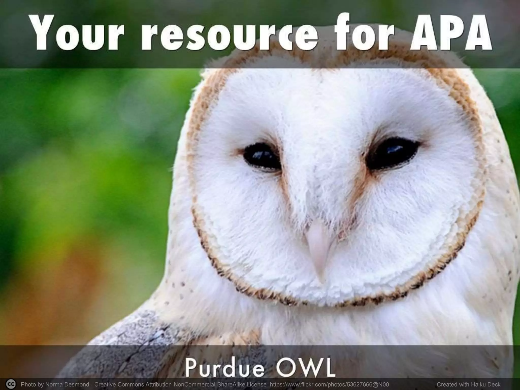 Photo by Norma Desmond - Creative Commons Attribution-NonCommercial-ShareAlike License https://www.flickr.com/photos/53627666@N00 Created with Haiku Deck
 