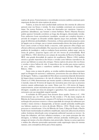 65
espécies de peixes. Frutos/sementes e invertebrados terrestres também constituem parte
importante da dieta de várias espécies de peixes.
Todavia, as áreas de maior produtividade autóctone dos sistemas de cabeceiras
parecem estar nos brejos e veredas. As áreas inundadas constituem um ecossistema
ímpar. Em termos florísticos, os brejos são dominados por ciperáceas (riqueza) e
gramíneas (abundância), que formam o estrato herbáceo. Buritis (Mauritia flexuosa)
podem aparecer formando corredores ao longo das drenagens, denominados veredas.
Estes ambientes ficam sazonalmente inundados, secando por completo durante o
período de estiagem ou deixando isoladas algumas poças mais profundas. Além de
poças de diferentes profundidades e fisionomias, os brejos apresentam pequenos canais
de ligação com os córregos, que se tomam anastomosados dentro das matas de galeria.
Esses canais cortam os brejos desde a nascente, onde aparecem olhos d'água que
afloram a diferentes profundidades. Das nascentes ao fundo dos vales é estabelecido um
gradiente de inundação e, onde as condições locais permitem, podem surgir, junto às
matas de galeria, pequenas lagoas com até três metros de profundidade. Reid
(apud Ribeiro, 1984) identificou nos campos de murundus da Reserva Ecológica do
IBGE, uma grande diversidade de espécies de zooplâncton. Ribeiro (1994) também
atestou a grande importância dos brejos e veredas como habitats reprodutivos de
peixes que habitam os canais dos córregos. Outras espécies de peixes têm nos brejos
e veredas o único habitat de vida. A importância das veredas para muitas espécies
de aves, anfíbios, répteis e mamíferos também já foi verificada (Negret, apud
Ribeiro, 1984).
Assim como as matas de galeria, as veredas também desempenham importante
papel na filtragem de nutrientes e sedimentos, provenientes dos usos difusos da bacia
de drenagem. Todavia, a capacidade de filtro desses ecossistemas depende diretamente
da largura desses ecossistemas e do tipo de cobertura vegetal da bacia de drenagem.
Chaves et al (1996) demonstraram que mesmo quando a cobertura original de cerrado
é mantida, matas de 38 metros de largura são necessárias para evitar que os processos
erosivos causem sedimentação nos canais. Matas com 54 e 120 metros de largura,
respectivamente, seriam necessárias para reter os sedimentos, provenientes da bacia de
drenagem, ocupadas por áreas de pastagem e agricultura. Isso, supondo que as matas
estivessem com sua integridade original mantida.
A realidade da APA parece bem distante desse quadro. Santos et al., 1996
demonstraram que, em 1992, apenas 5% das veredas e 17% das matas originais do
Ribeirão do Gama permaneciam, enquanto 67% da bacia era antrópica. Em sinergia, a
aceleração dos processos erosivos e a baixa capacidade de retenção de sedimentos por
veredas e matas estreitas e depauperadas, já haviam causado profundas modificações
nos habitats aquáticos no início da década (Ribeiro, 1994). Desde então, esses
processos se intensificaram. A foz do Ribeirão do Gama, Cabeça-de-Veado e Riacho
Fundo foram transformadas em ambiente simplificado, típicos de cabeceiras de primeira
ordem, fenômeno identificado como retrogressão ambiental (sucessão ao inverso). Ao
longo dos tributários, sob forte influência antrópica, e nos canais principais das três
drenagens, os habitats aquáticos também sofreram profundas modificações, que já
atingem até mesmo a foz dos tributários mais preservados. Apenas os cursos superiores
e médios dos afluentes preservados apresentam ainda organização típica de sistemas
naturais, com conseqüência direta para a biota aquática.
 