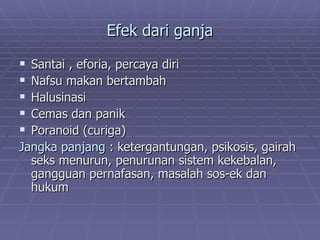 Efek dari ganja

 Santai , eforia, percaya diri
 Nafsu makan bertambah
 Halusinasi
 Cemas dan panik
 Poranoid (curiga)
Jangka panjang : ketergantungan, psikosis, gairah
  seks menurun, penurunan sistem kekebalan,
  gangguan pernafasan, masalah sos-ek dan
  hukum
 