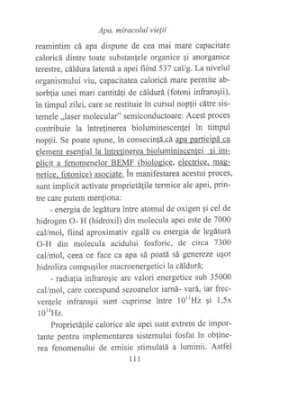 Apa, miracolul vie{ii
reamintim eá apa dispune de cea mai mare capacitate
caloricá dintre toate substanlele organice gi anorganice
terestre, cáldura latentá a apei flind 537 callg. La nivelul
organismului viu, capacitatea caloricá mare permite ab-
sorblia unei mari cantitá1i de cáldurá (fotoni infraro¡ii),
in timpul zilei, carc se restituie in cursul nop{ii cátre sis-
temele ,,laser molecular" semiconductoare. Acest proces
contribuie la intrelinerea bioluminescenfei in timpul
nopfii. Se poate spune, in consecinlá,cá apa participá ca
element esenlial la intretinerea biolurniniscentei si im-
plicit a fenomenelor BEMF (biologice, electrice' mas-
netice. fotonice) asociate. tn manifestarea acestui proces,
sunt implicit activate proprietáfile termice ale apei, prin-
tre care putem menfiona:
- energia de legátura intre atomul de oxigen qi cel de
hidrogen O- H (hidroxil) din molecula apei este de 7000
cal/mol, fiind aproximativ egalá cu energia de legáturá
O-H din molecula acidului fosforic, de circa 7300
caUmol, ceea ce face ca apa sá poatá sá genereze u§or
hidroliza compuqilor macroenergetici la cáldurá;
- radialia infraroqie are valori energetice sub 35000
cal/mol, care corespund sezoanelor iarná- vará, iar frec-
venlele infrarogii surt cuprinse intre l011Hz qi 1,5x
loraHz.
Proprietáfile calorice ale apei sunt extrem de impor-
tante pentru implementarea sistemului fosfat in obline-
rea fenomenului de emisie stimulatá a luminii. Astfel
111
 