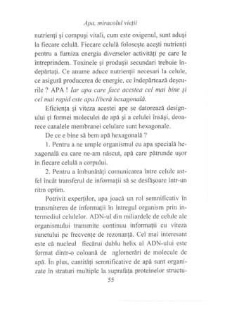 Apa, miracolul vielii
nutrienli qi compuqi vitali, cum este oxigenul, sunt adugi
la fiecare celulá. Fiecare celulá folosegte aceqti nutrienli
pentru a farniza energia diverselor activitáfi pe care le
intreprindem. Toxinele qi produqii secundari trebuie in-
depártafi. Ce anume aduce nutrienfii necesari la celule,
ce asigurá producerea de energie, ce indepárteazá degeu-
rile ? APA t lar apa care face acestea cel mai bine Si
cel mai rapid este apa liberá hexagonalá.
Eficienfa gi viteza acestei ape se datoreazá design-
ului qi formei moleculei de apá gi a celulei insáqi, deoa-
rece canalele membranei celulare sunt hexagonale.
De ce e bine sá bem apá hexagonalá ?
1 Pentru a ne umple organismul cu apa specialá he-
xagonalá cu care ne-am náscut, apá care pátrunde uqor
in fiecare celulá a corpului.
2. Pentru a imbunátáli comunicarea intre celule ast-
fel incát transferul de informalii sá se desfáqoare intr-un
ritm optim.
Potrivit exper{ilor, apa joacá un rol semnificativ in
transmiterea de informafii in intregul organism prin in-
termediul celulelor. ADN-ul din miliardele de celule ale
organismului transmite continuu informafii cu viteza
sunetului pe frecvenle de rezonan!á. Cel mai interesant
este cá nucleul fiecárui dublu helix al ADN-ului este
format dintr-o coloaná de aglomerári de molecule de
apá. in plus, cantitáfi semnificative de apá sunt organi-
zate in straturi multiple la suprafafa proteinelor structu-
55
 