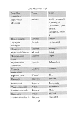 Apa. miracolul vielii
Haemophilus
influenziae
Mixovirusinfluenzae Virusuri
Bacterie
Bacterie Leptospirozá
Artritá, endocardi*
tá, meningitá
Osteomielitá, pne-
umonie,
Septicemie, sinuzi-
ta
Mycobacterium
tuberculosis
Papiloma virus
Pseudomonas malei Bacterie
':ii{ : ; l:i' 1'!'::.ii.r:il.!f, i::,:i' i:1! :,:.r: i:'i :.:,
. i¿lg{.Bf}&''.:',. i.,i,,:''i,. :i "il:l,
Bacterie Tuberculozá
Bacterie
67
Gripá
Virusuri
Pneurnococi Bacterie
Riscksettsia rickettsi Encefalitá
 