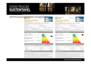 Apa Workshop Nov 08 Livia Tirone