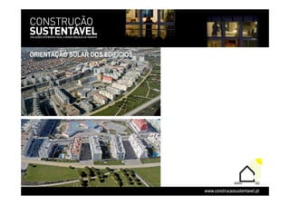 Apa Workshop Nov 08 Livia Tirone