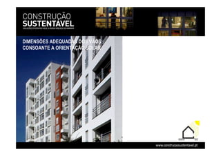 Apa Workshop Nov 08 Livia Tirone