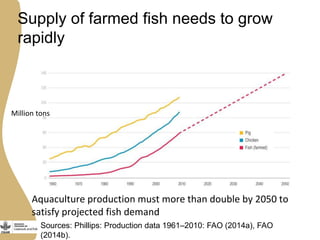 The opportunities and challenges for livestock and aquaculture research for development in Asia
