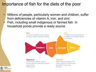 The opportunities and challenges for livestock and aquaculture research for development in Asia