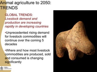 The opportunities and challenges for livestock and aquaculture research for development in Asia