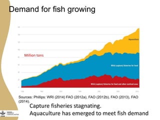 The opportunities and challenges for livestock and aquaculture research for development in Asia
