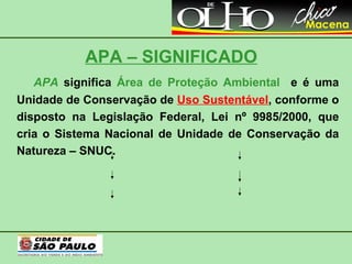 APA – SIGNIFICADO APA  significa  Área de Proteção Ambiental   e é uma Unidade de Conservação de  Uso Sustentável , conforme o disposto na Legislação Federal, Lei nº 9985/2000, que cria o Sistema Nacional de Unidade de Conservação da Natureza – SNUC. 