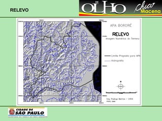RELEVO 