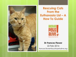 Rescuing Cats
From the
Euthanasia List – A
How To Guide
Dr Frances Flower
22 Feb 2014
frances.flower@austinpetsalive.org
 