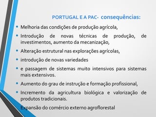 PORTUGAL E A PAC- consequências:

• Melhoria das condições de produção agrícola,
• Introdução de novas técnicas de produção,
investimentos, aumento da mecanização,

de

• Alteração estrutural nas explorações agrícolas,
• introdução de novas variedades
• e passagem de sistemas muito intensivos para sistemas
mais extensivos.

• Aumento do grau de instrução e formação profissional,
• Incremento da agricultura biológica e valorização
produtos tradicionais.

• Expansão do comércio externo agroflorestal

de

 