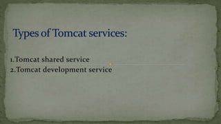 1.Tomcat shared service
2.Tomcat development service
 