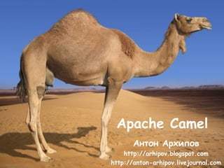 Apache Camel
Антон Архипов
http://arhipov.blogspot.com
http://anton-arhipov.livejournal.com
 