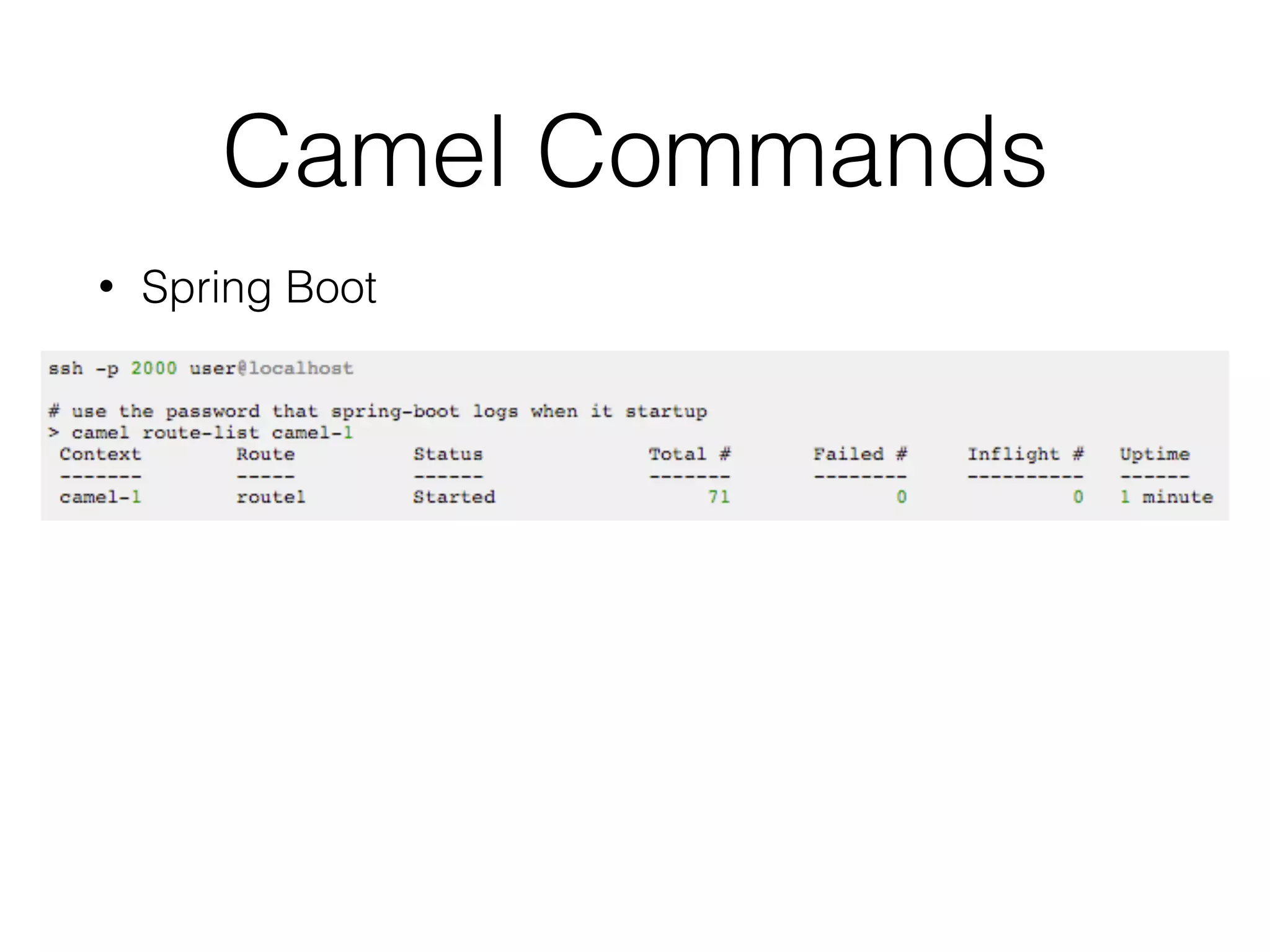 Camel Commands
• Spring Boot
 