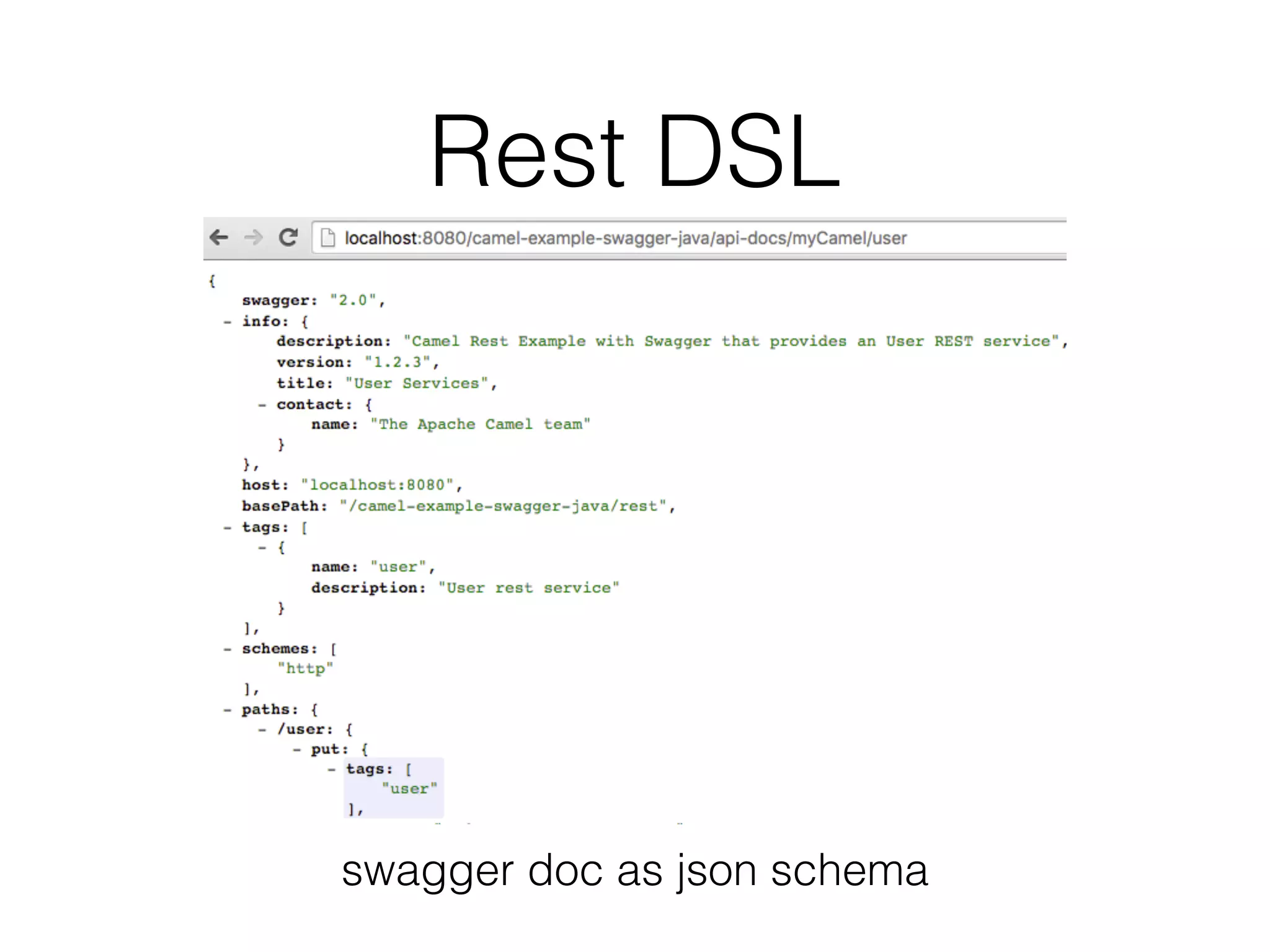 Rest DSL
swagger doc as json schema
 