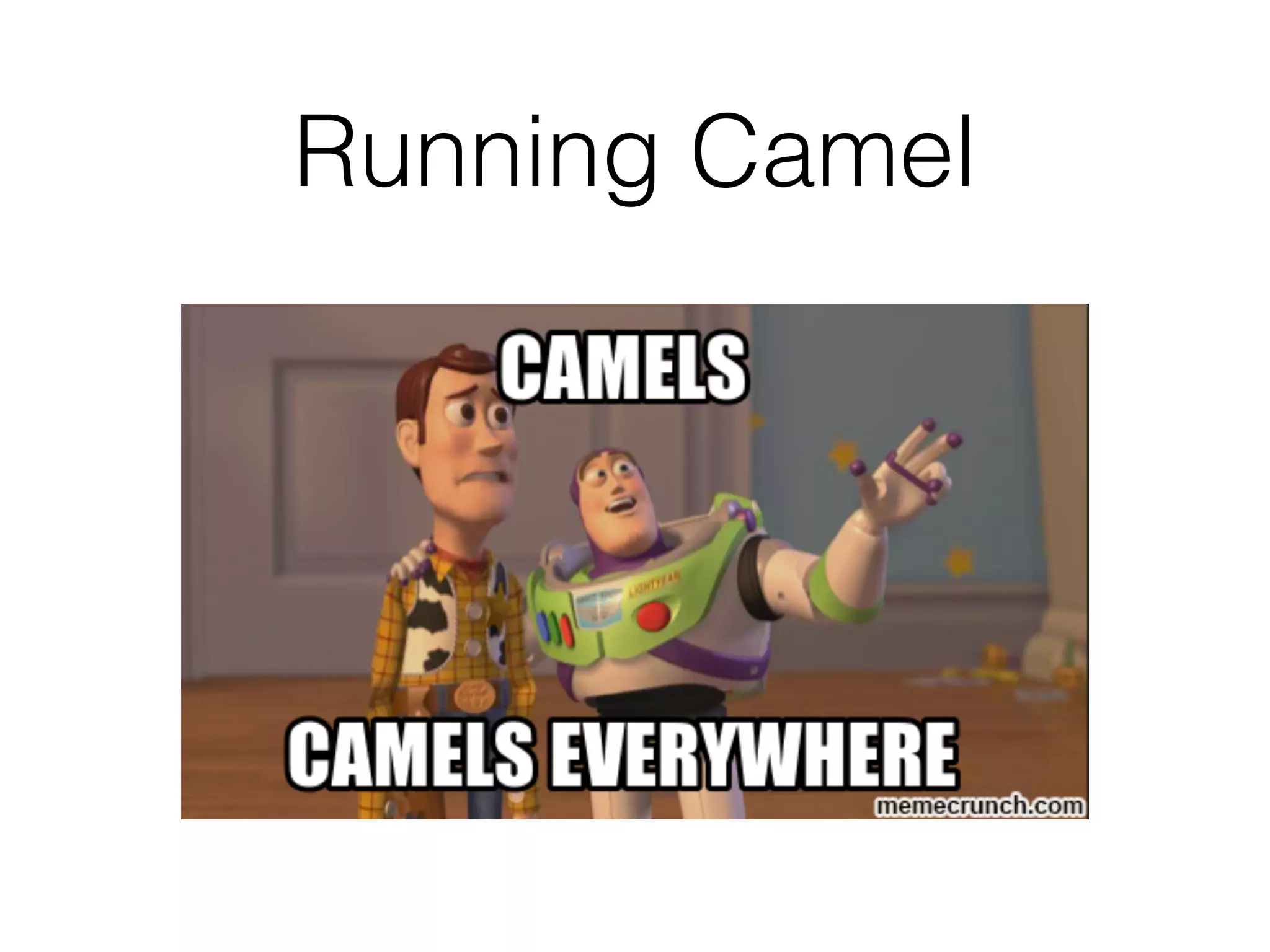 Running Camel
 