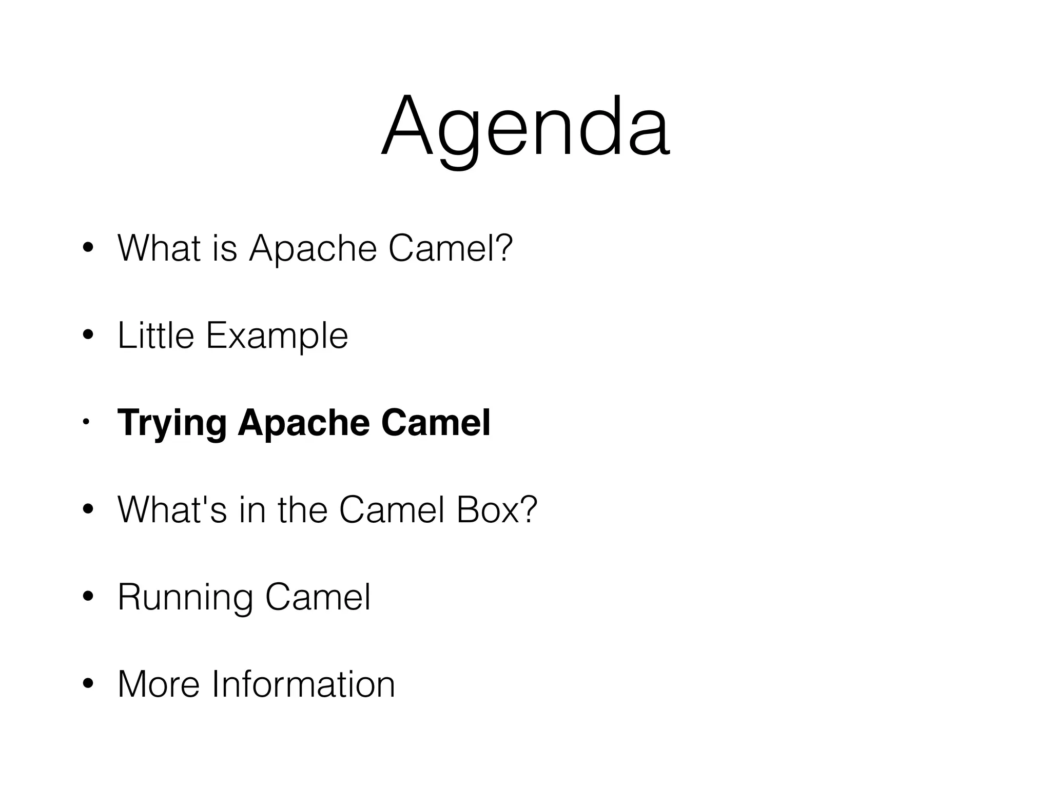 Agenda
• What is Apache Camel?
• Little Example
• Trying Apache Camel
• What's in the Camel Box?
• Running Camel
• More Information
 