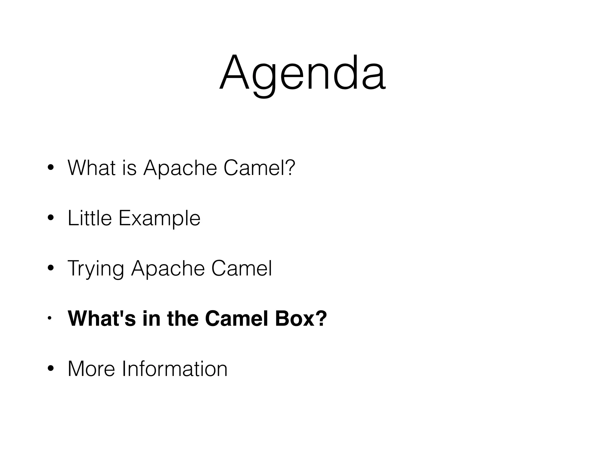 Agenda
• What is Apache Camel?
• Little Example
• Trying Apache Camel
• What's in the Camel Box?
• More Information
 